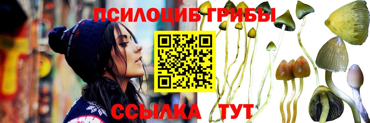 Псилоцибиновые грибы Cubensis  Вход с VPN  Корсаков 